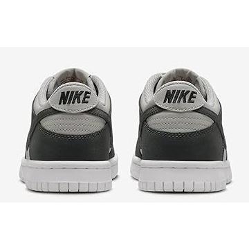 Nike Dunk Low HF LT Iron Ore Anthracite-White (FZ1000 001)