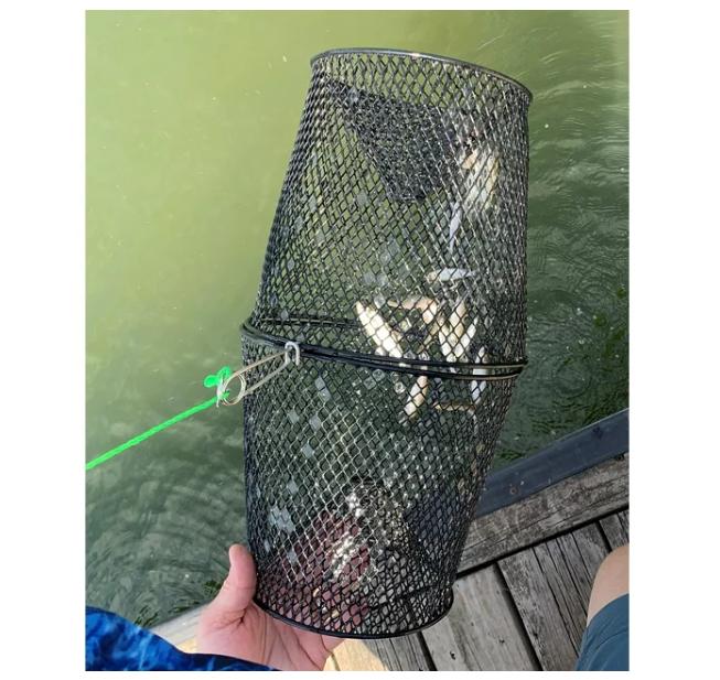 Frabill Torpedo Minnow Trap, Mesh, Black