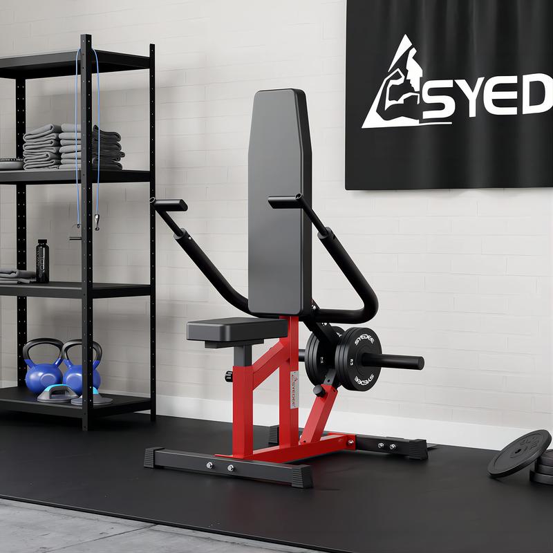 syedee Seated Dip Machine Plate Loaded- Tricep Dip Press Machine with Cable Bar for Biceps Chest Training, Hold up to 400LBS